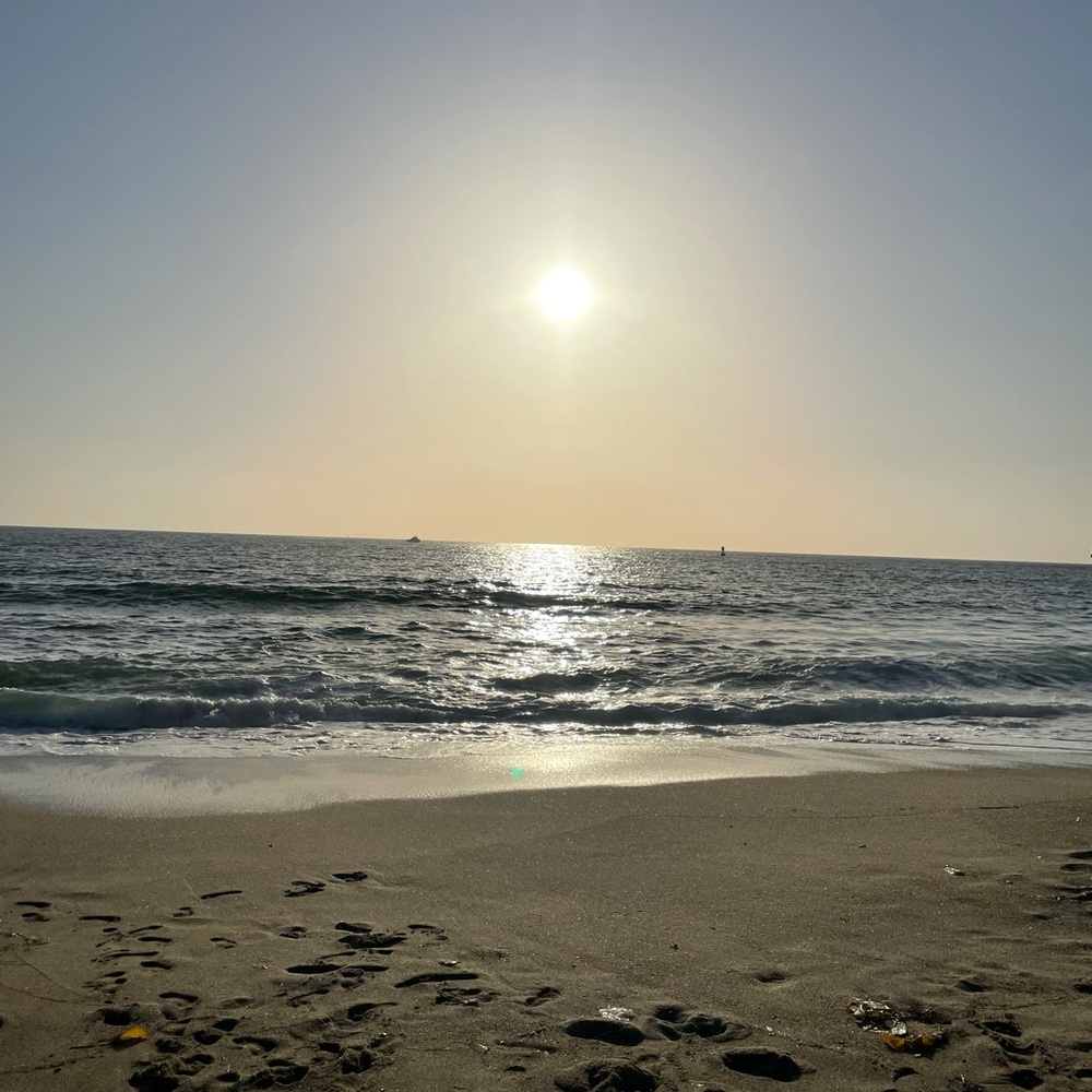 Meet your Posher, Dee